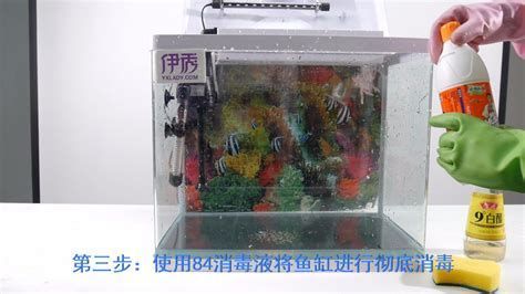龍魚抗菌液有哪些正確使用方法，如何正確使用龍魚抗菌液
