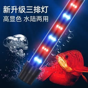推薦幾款性價比高的龍魚誘色燈，幾款性價比高的龍魚誘色燈推薦