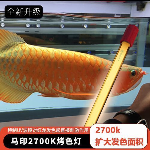 馬印2700K燈管的價格是多少，馬印2700k燈管價格因品牌、規格和購買渠道的不同而有所差異