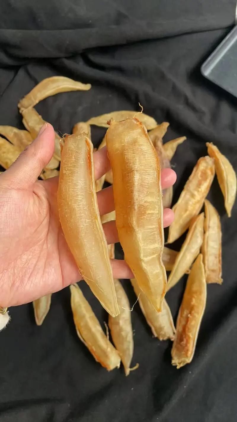金龍魚膠有哪些品種，哪個品種的金龍魚膠最好？ 金龍魚膠有哪些品種，哪個品種的金龍魚膠最好？ 龍魚百科 第6張