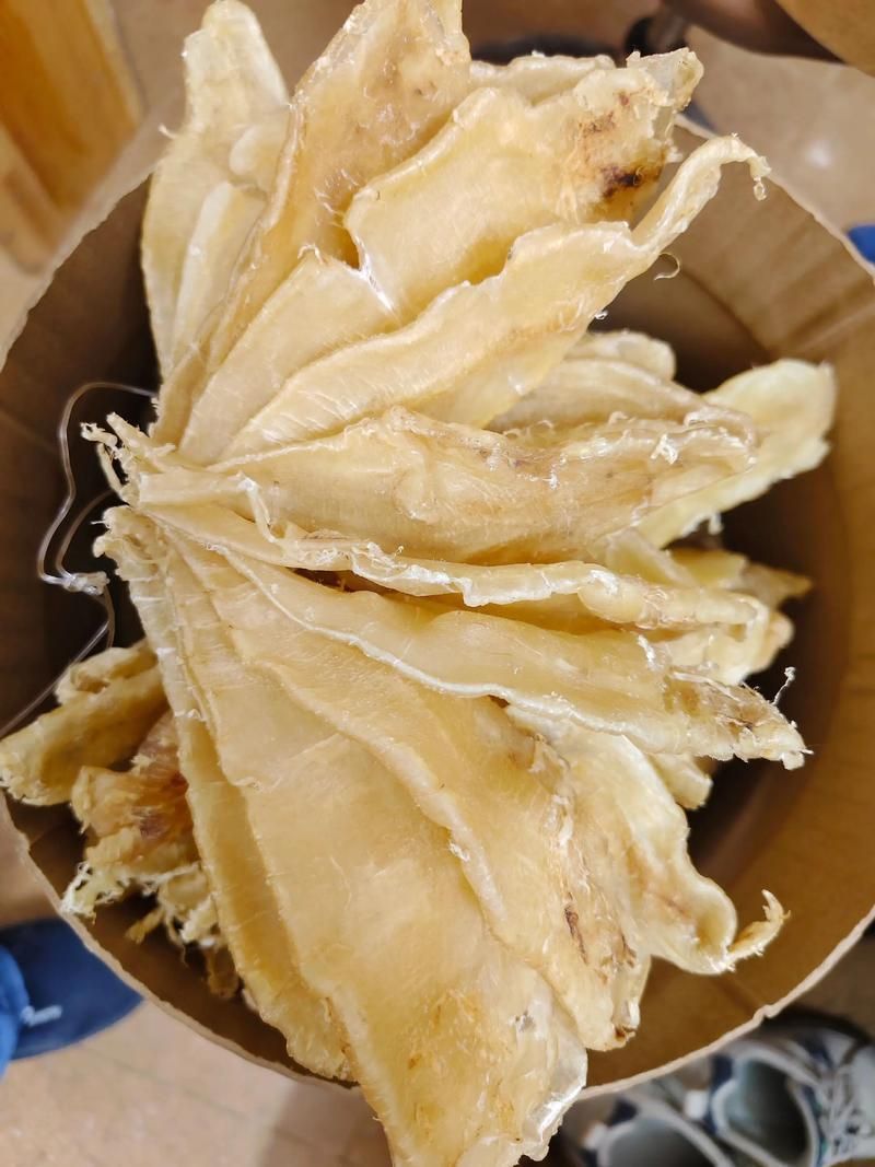 金龍魚膠有哪些品種，哪個品種的金龍魚膠最好？ 金龍魚膠有哪些品種，哪個品種的金龍魚膠最好？ 龍魚百科 第4張
