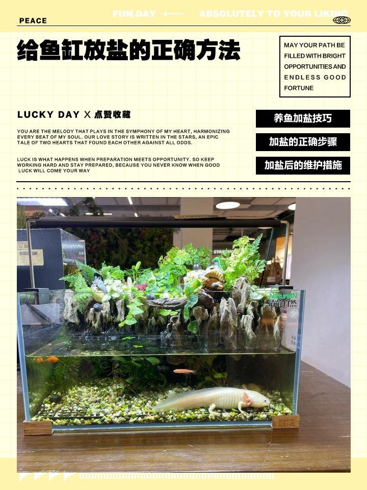 如何科學使用魚缸鹽，如何科學使用魚缸鹽？ 如何科學使用魚缸鹽，如何科學使用魚缸鹽？ 龍魚百科 第1張