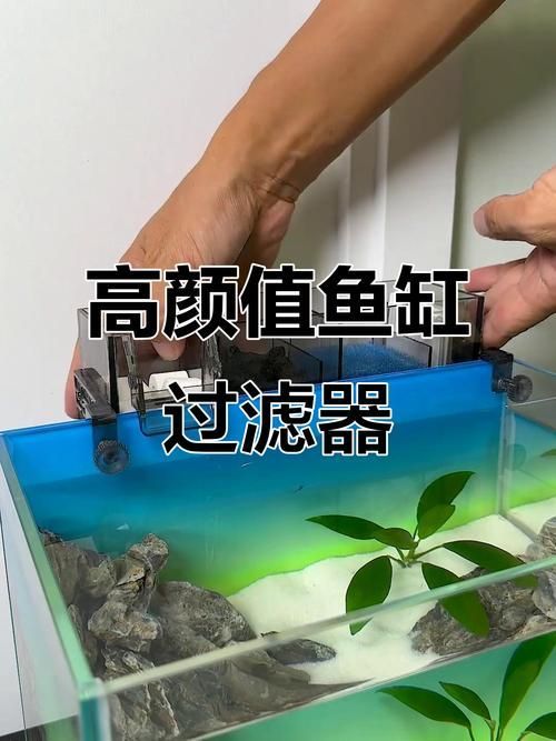 有哪些適合新手的魚缸維護工具，適合新手養魚的魚缸維護工具