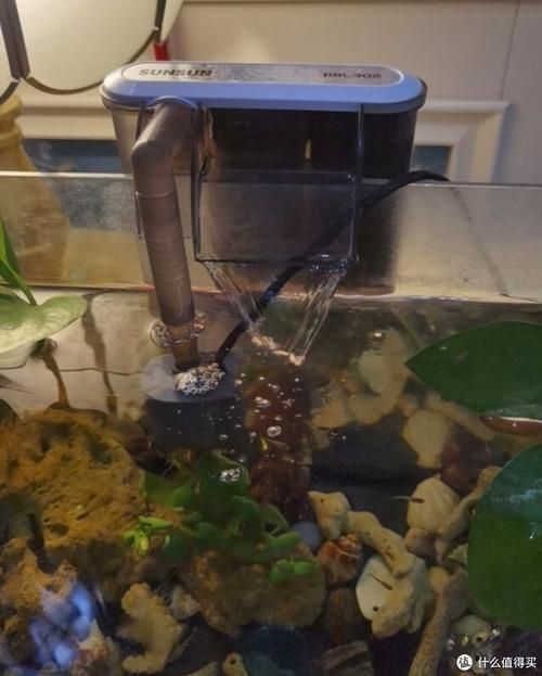 有哪些適合新手的魚缸維護工具，適合新手養魚的魚缸維護工具