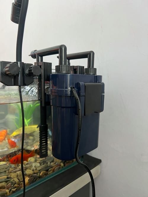 有哪些適合新手的魚缸維護工具，適合新手養魚的魚缸維護工具