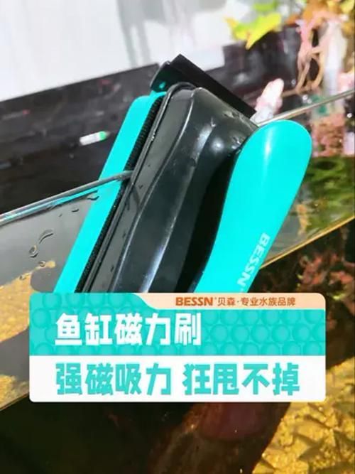 有哪些適合新手的魚缸維護工具，適合新手養魚的魚缸維護工具
