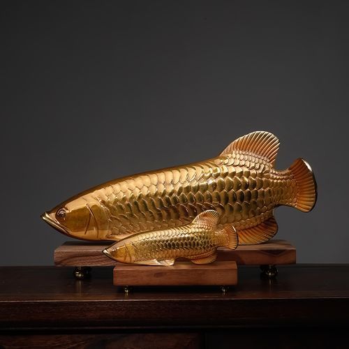 給我一些銅龍魚的照片，關于銅龍魚的一般信息和描述