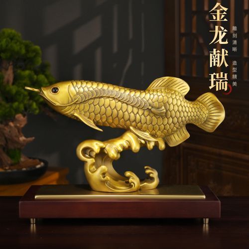 給我一些銅龍魚的照片，關于銅龍魚的一般信息和描述