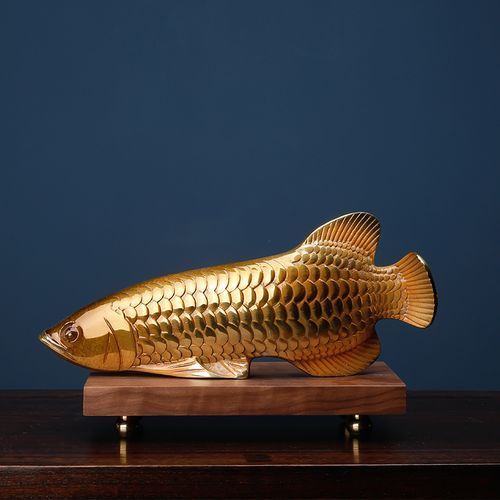 給我一些銅龍魚的照片，關于銅龍魚的一般信息和描述