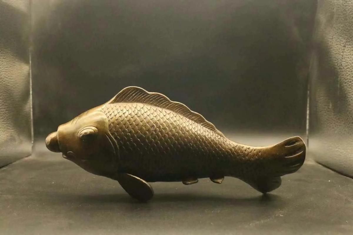給我一些銅龍魚的照片，關于銅龍魚的一般信息和描述
