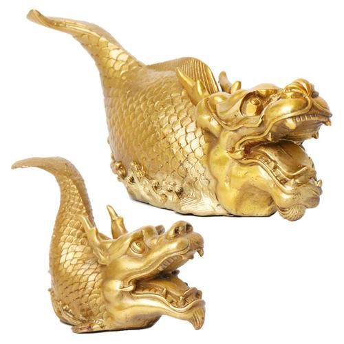 給我一些銅龍魚的照片，關于銅龍魚的一般信息和描述