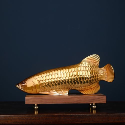 給我一些銅龍魚的照片，關于銅龍魚的一般信息和描述