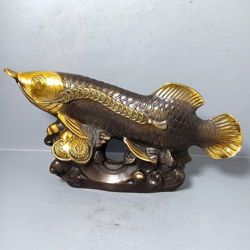 給我一些銅龍魚的照片，關于銅龍魚的一般信息和描述
