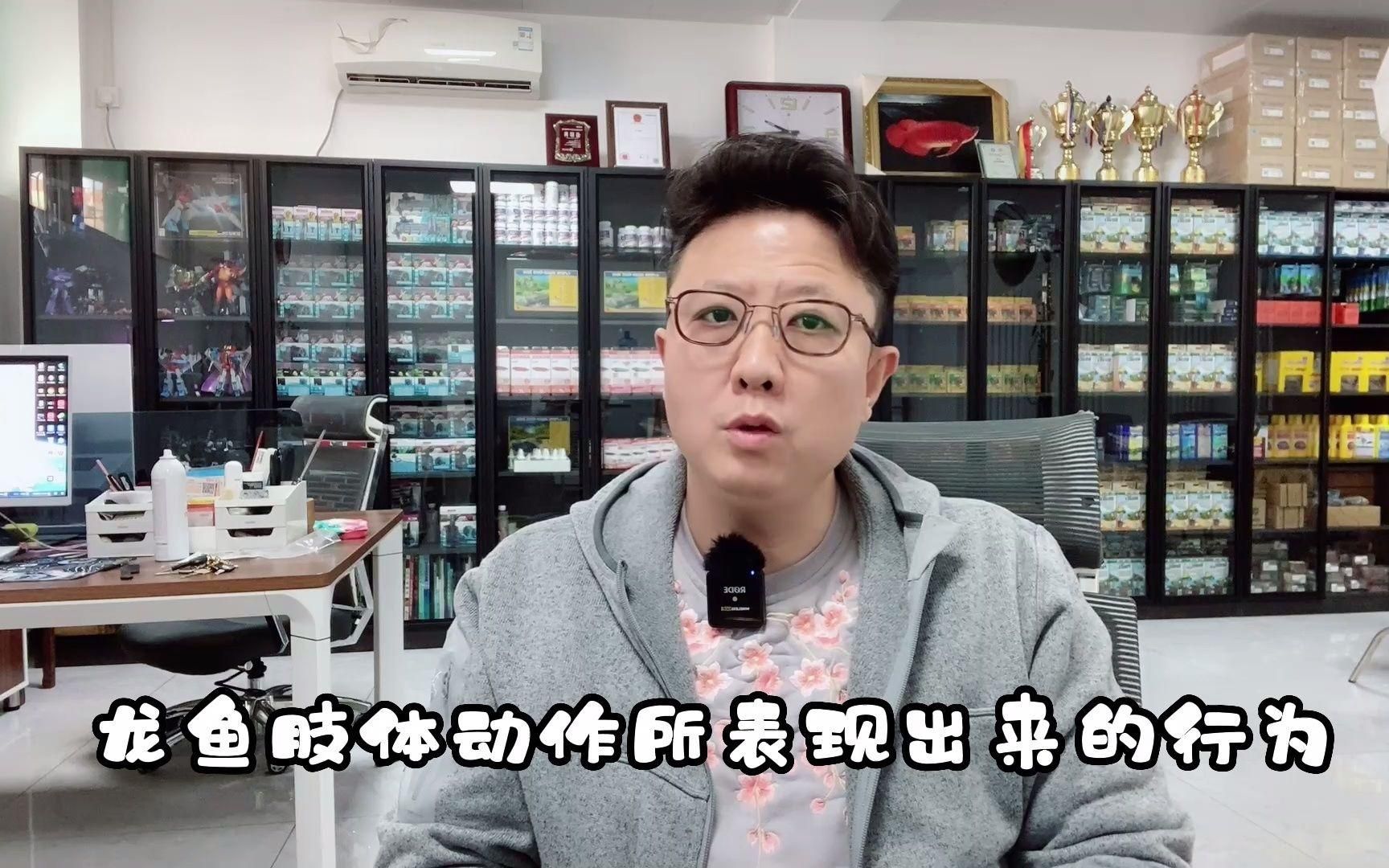 如何判斷龍魚是否出現異常，如何判斷龍魚是否出現異常？