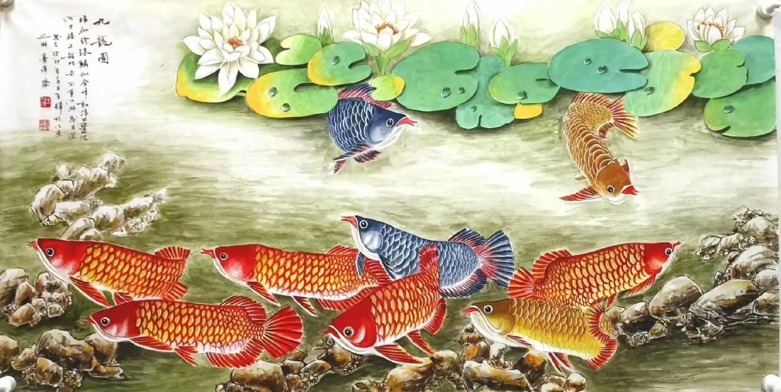 給我一些九龍魚的圖片示例，九龍魚是什么？
