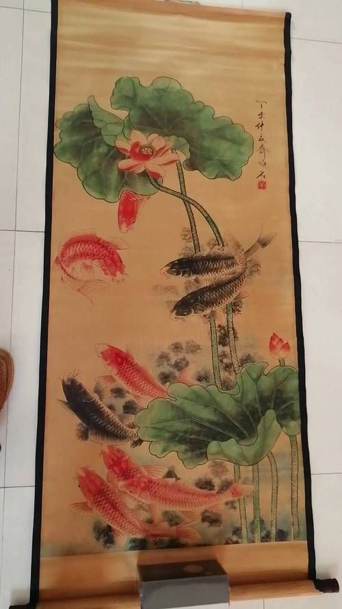 給我一些九龍魚的圖片示例，九龍魚是什么？