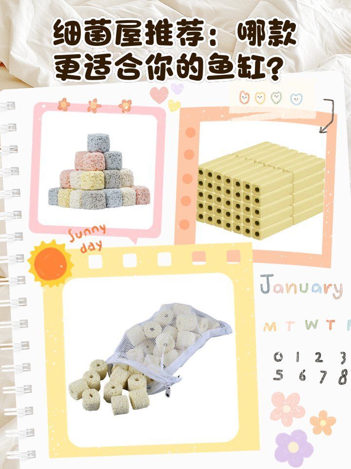 有哪些品牌細(xì)菌屋值得推薦，哪些品牌細(xì)菌屋性?xún)r(jià)比最高