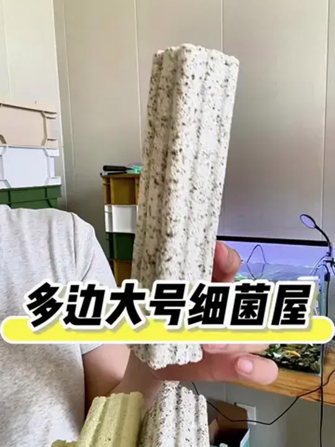 有哪些品牌細(xì)菌屋值得推薦，哪些品牌細(xì)菌屋性?xún)r(jià)比最高