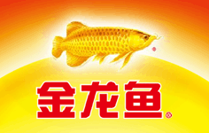 如何申請成為立達(dá)金龍魚代理,立達(dá)金龍魚代理申請流程 龍魚百科 第5張 如何申請成為立達(dá)金龍魚代理,立達(dá)金龍魚代理申請流程 如何申請成為立達(dá)金龍魚代理,立達(dá)金龍魚代理申請流程 龍魚百科 第5張