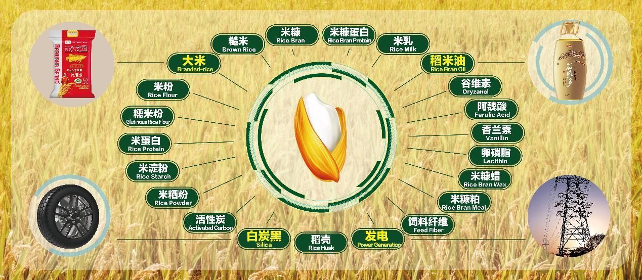 如何申請成為立達(dá)金龍魚代理,立達(dá)金龍魚代理申請流程 龍魚百科 第4張 如何申請成為立達(dá)金龍魚代理,立達(dá)金龍魚代理申請流程 如何申請成為立達(dá)金龍魚代理,立達(dá)金龍魚代理申請流程 龍魚百科 第4張