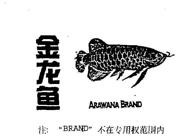 如何申請成為立達(dá)金龍魚代理,立達(dá)金龍魚代理申請流程 龍魚百科 第6張 如何申請成為立達(dá)金龍魚代理,立達(dá)金龍魚代理申請流程 如何申請成為立達(dá)金龍魚代理,立達(dá)金龍魚代理申請流程 龍魚百科 第6張