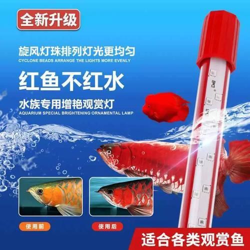 有哪些品牌龍魚缸燈具推薦，龍魚缸燈具哪個牌子好