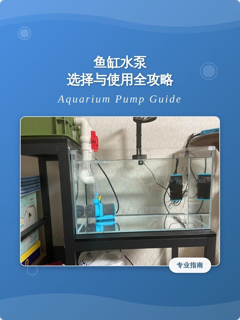 給龍魚選水泵時需要注意什么，魚缸水泵選擇與使用攻略