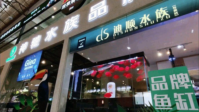 詳細閱讀:貴州龍魚有哪些知名品牌,“貴州龍魚”并非指某種原生魚類品牌,貴州龍魚品牌 貴州龍魚有哪些知名品牌,“貴州龍魚”并非指某種原生魚類品牌,貴州龍魚品牌