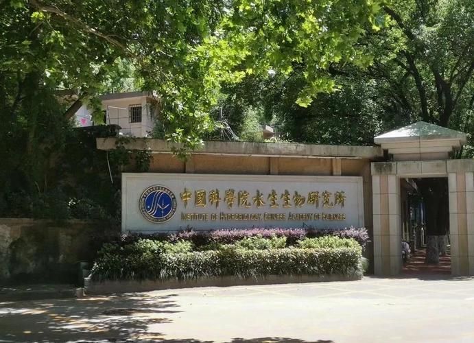 如何合法地獲取石獅龍魚用于研究，石獅龍魚合法獲取