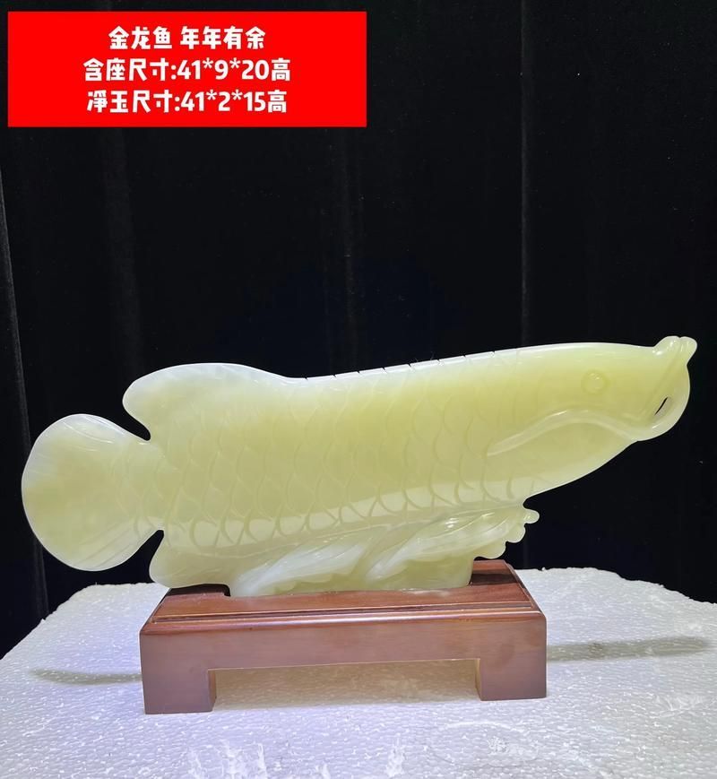 玉龍魚適合什么場合贈送 龍魚百科 第1張 玉龍魚適合什么場合贈送 玉龍魚適合什么場合贈送 龍魚百科 第1張