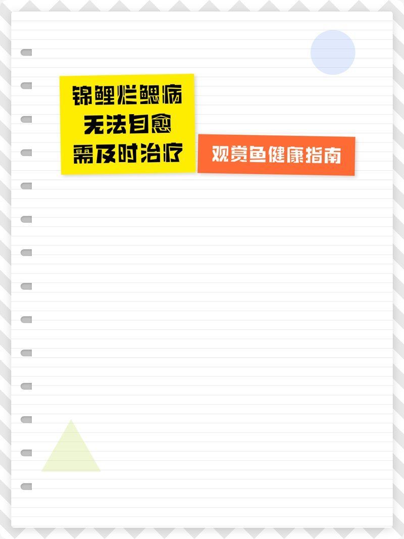 爛鰓病能自愈嗎，如何判斷魚是否患有爛鰓病 爛鰓病能自愈嗎，如何判斷魚是否患有爛鰓病 龍魚百科 第2張