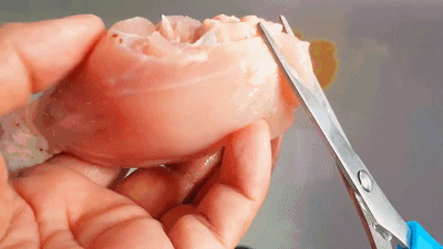 雞心作為龍魚零食的頻率應該是多久一次？，雞心可以作為龍魚的零食嗎？