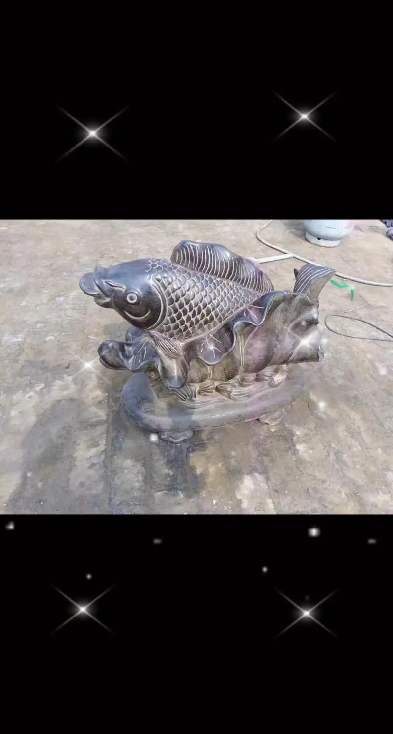 給我一些曲陽龍魚的圖片，曲陽龍魚的奧秘 給我一些曲陽龍魚的圖片，曲陽龍魚的奧秘 龍魚百科 第11張