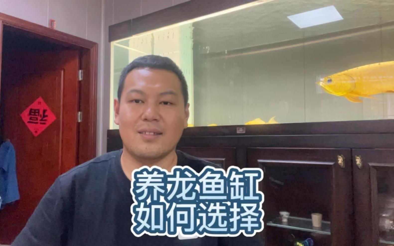 藍(lán)背龍魚幼魚期需要多大的魚缸，新景致水族館李河敏