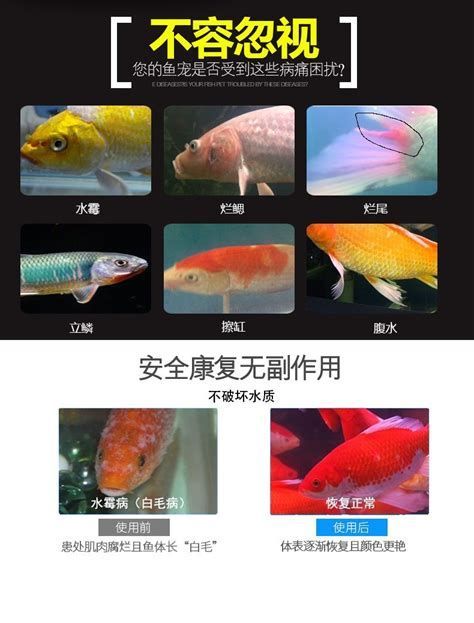 龍魚真菌感染治療方法,關于龍魚真菌感染的詳細治療方法與護理指南 龍魚百科 第3張 龍魚真菌感染治療方法,關于龍魚真菌感染的詳細治療方法與護理指南 龍魚真菌感染治療方法,關于龍魚真菌感染的詳細治療方法與護理指南 龍魚百科 第3張