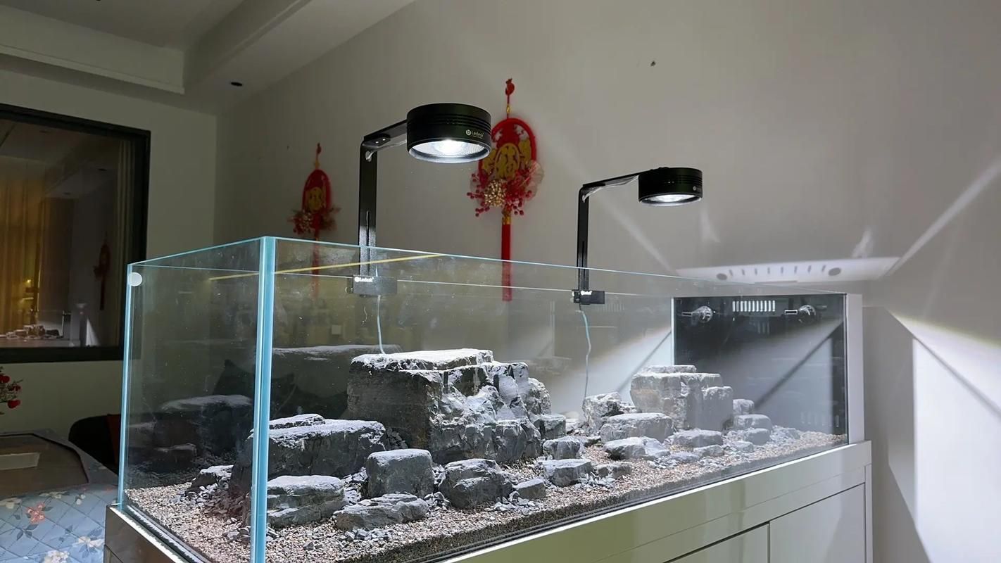 如何配置胭脂孔雀龍魚的魚缸，胭脂孔雀龍魚缸配置 如何配置胭脂孔雀龍魚的魚缸，胭脂孔雀龍魚缸配置 龍魚百科 第4張