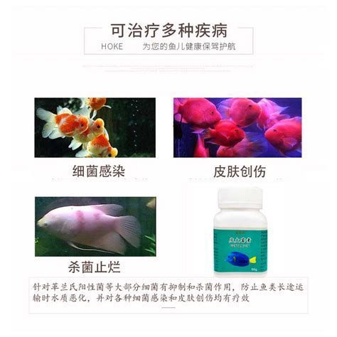 錦鯉爛身的6個征兆，關于錦鯉爛身的6個征兆及應對方法