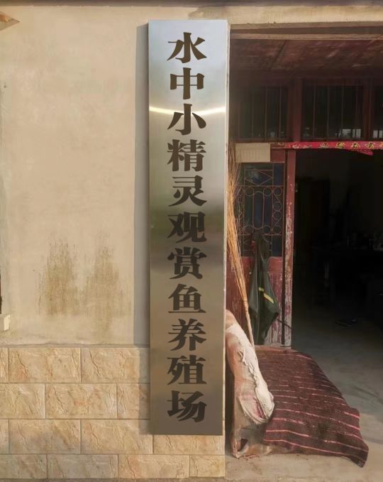<strong><mark>南陵</mark></strong>縣有哪些觀賞魚養殖場，<strong><mark>南陵</mark></strong>縣有哪些觀賞魚養殖場？