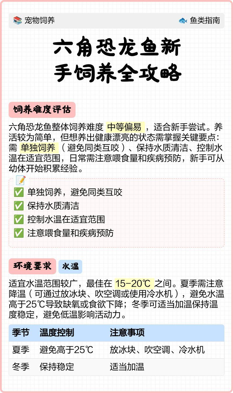 如何預防六角恐龍中暑，六角恐龍飼養技術