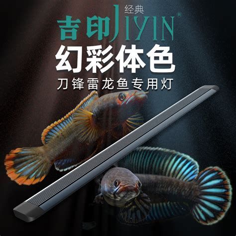 龍魚鸚鵡魚增色燈哪個品牌最好？，吉印刀鋒x增色燈