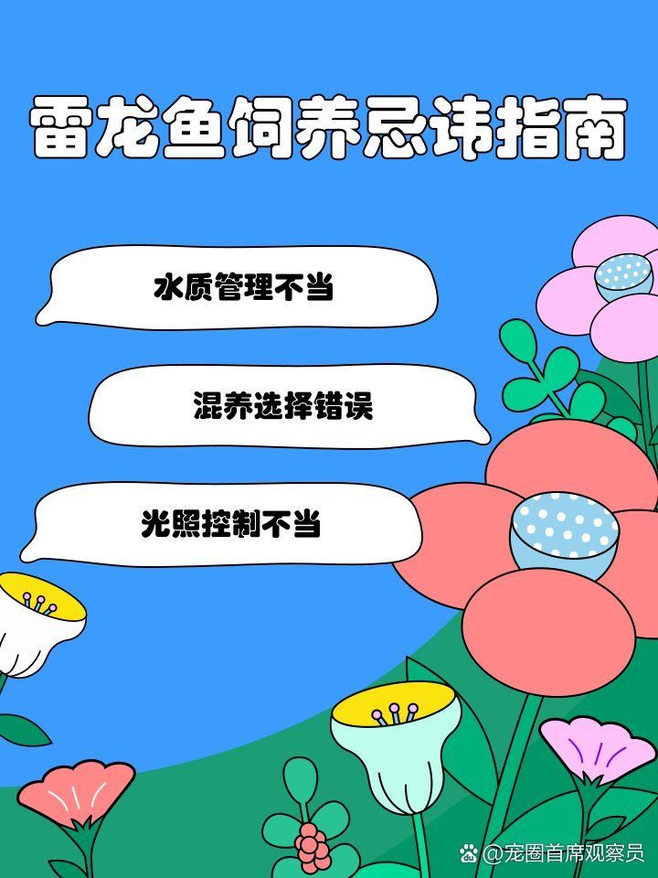 雷龍魚多久換一次水，雷龍魚多久喂一次比較合適？