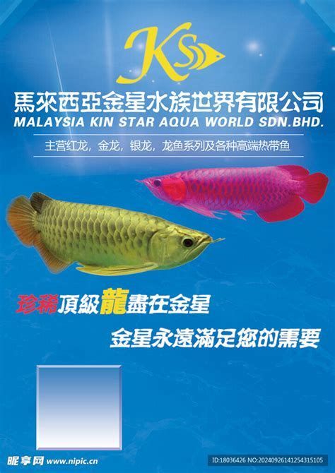 龍魚有哪些著名的品種？，亞洲龍魚主要著名品種