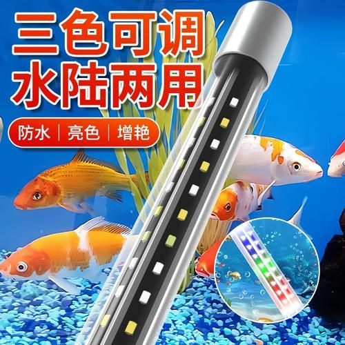 如何選擇適合龍魚的三基色燈？，刀鋒x求詳解如何選擇適合龍魚三基色燈