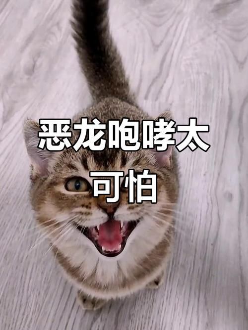 惡龍肚子變大撐爆，奇幻作品中“惡龍肚子變大撐爆”結局暗示了過度擴張終將自毀 惡龍肚子變大撐爆，奇幻作品中“惡龍肚子變大撐爆”結局暗示了過度擴張終將自毀 龍魚百科 第5張