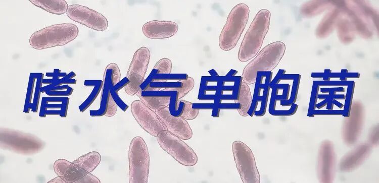 金龍魚細菌感染如何診斷，arxiv論文助手arxiv論文助手arxiv論文助手