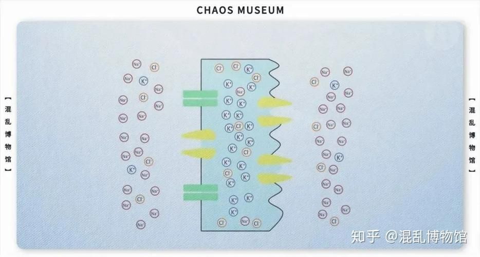 電鰻和龍魚在現代醫學中有何研究，電鰻和龍魚在現代醫學研究中的重要性體現在現代醫學中的重要性