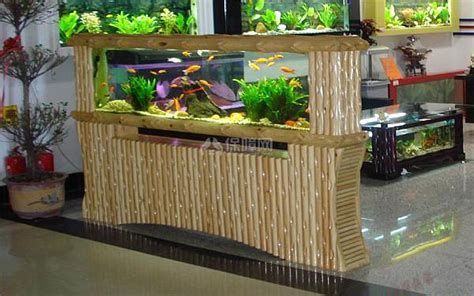 魚缸，魚缸搭建與維護 魚缸，魚缸搭建與維護 龍魚百科 第4張