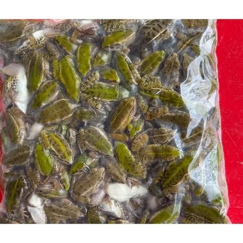 有哪些適合龍魚的優(yōu)質(zhì)餌料，幾種適合龍魚的優(yōu)質(zhì)餌料