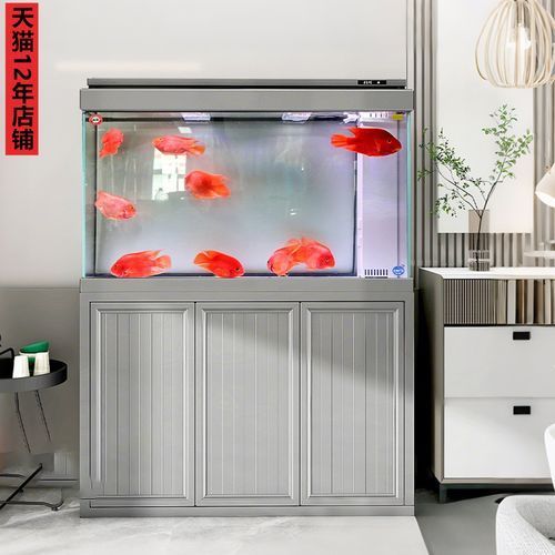 推薦幾款龍魚缸過濾系統品牌，龍魚缸過濾系統