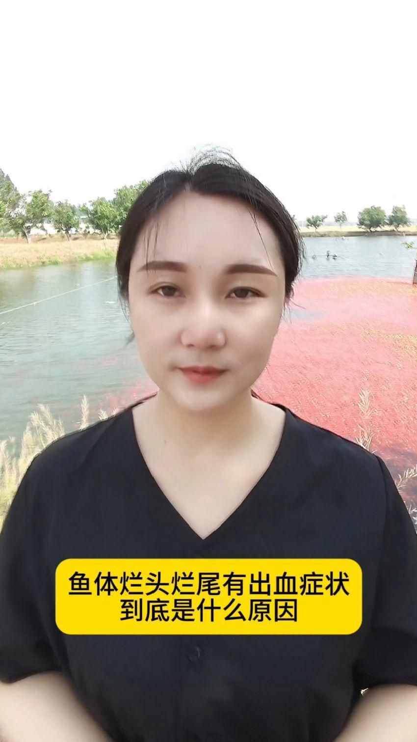 如何判斷魚是哪種類型的爛身，魚是哪種類型的爛身 如何判斷魚是哪種類型的爛身，魚是哪種類型的爛身 龍魚百科
